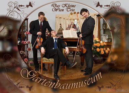 Das kleine Wien Trio (20101114 0046)
